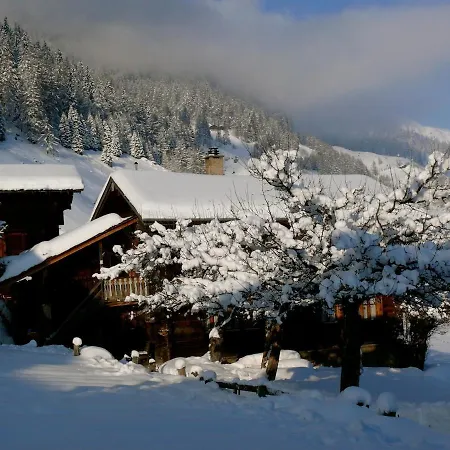 Swiss On Slopes Up To 10pax!