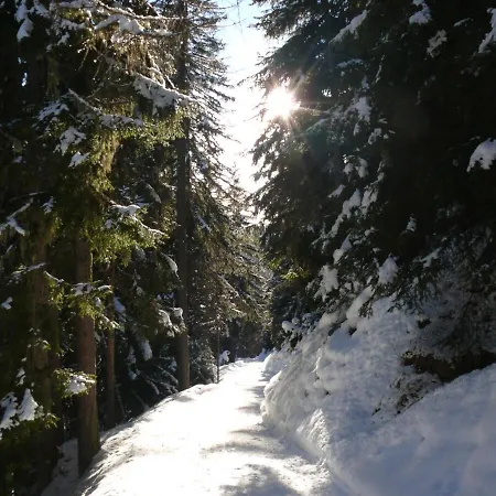 Swiss On Slopes Up To 10pax! * Reckingen