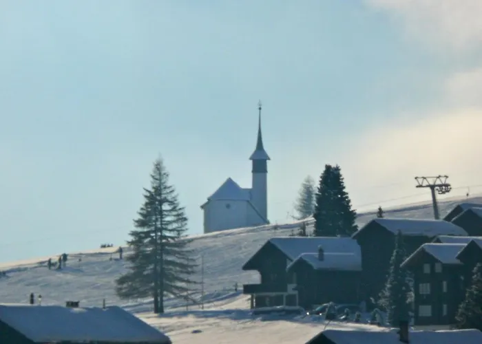 Swiss On Slopes Up To 10pax! *