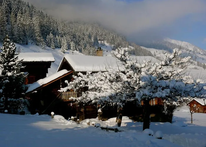 Swiss On Slopes Up To 10pax!
