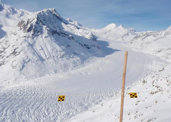 Swiss On Slopes Up To 10pax! Апартаменты