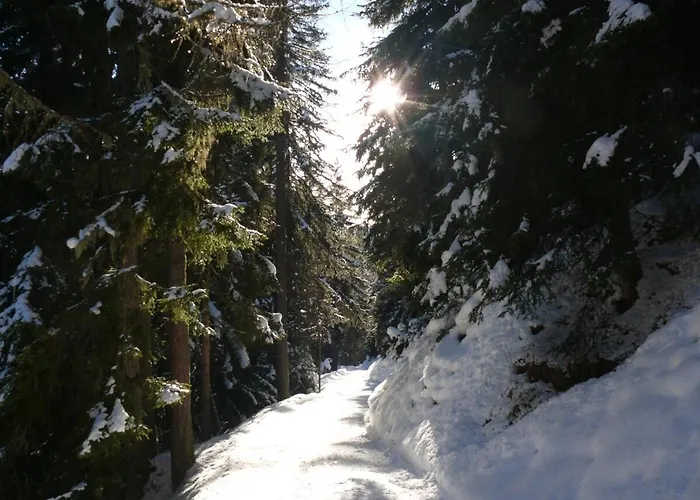 Swiss On Slopes Up To 10pax! * Reckingen