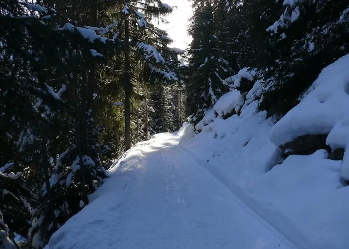 Apartment Swiss On Slopes Up To 10pax! Reckingen