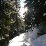 Swiss On Slopes Up To 10pax! * Reckingen