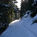 Appartamento Swiss On Slopes Up To 10pax! Reckingen