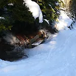 Swiss On Slopes Up To 10pax! Appartamento Reckingen