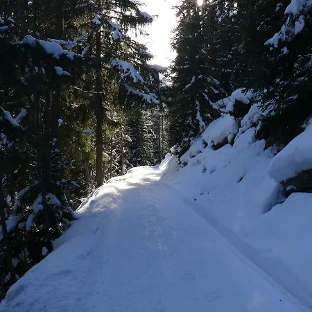 아파트 Swiss On Slopes Up To 10pax! Reckingen